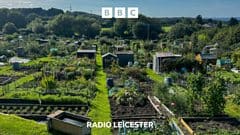 18 months wait for an allotment plot in Leicester — Leicester news photo (BBC Leicester)
